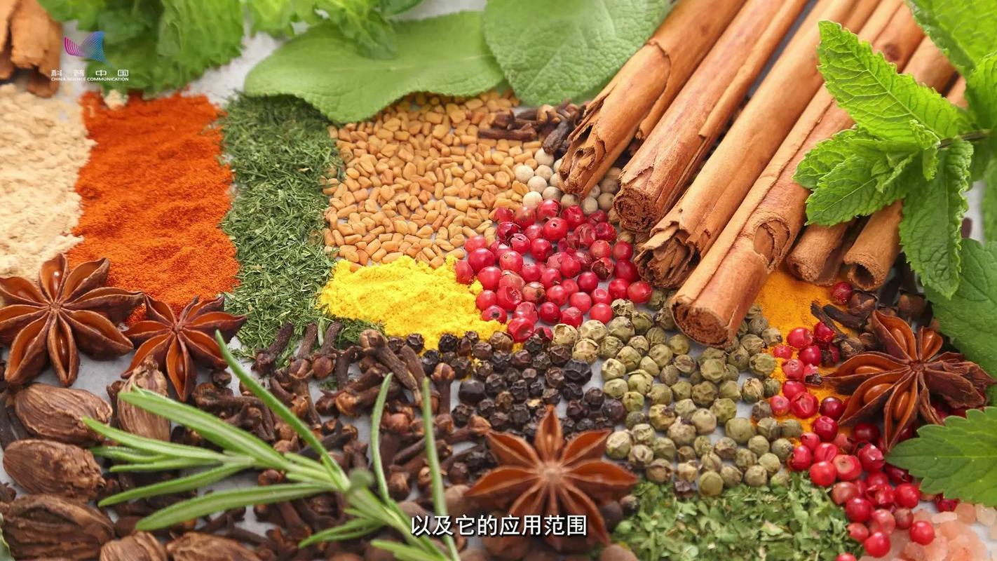 食品添加剂 现代食品工业的隐形守护者与争议焦点